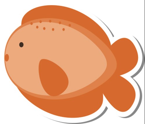 25/26F - KUGELFISCH (Montag)